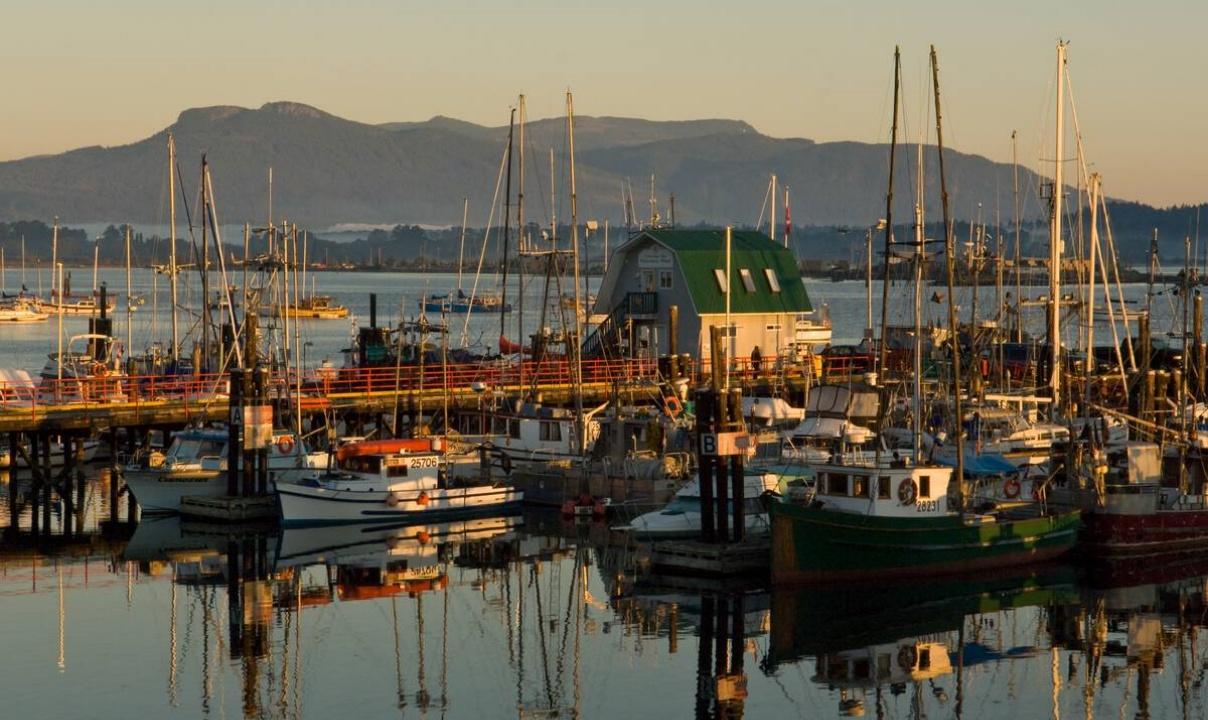 Boats in a harbour with mountains in the background.