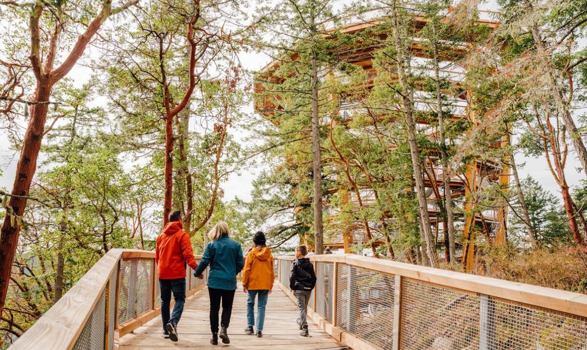 A family of four walking on the Malahat SkyWalk.