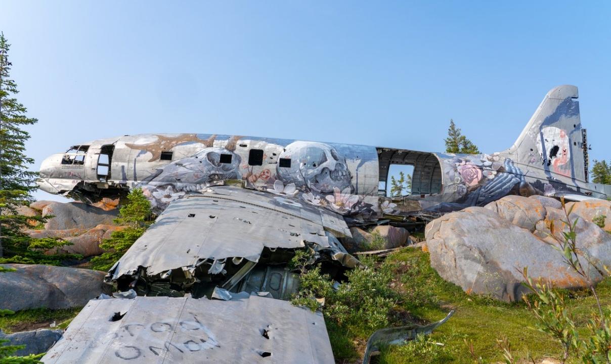 An abandoned airplane wreck covered in artistic graffiti
