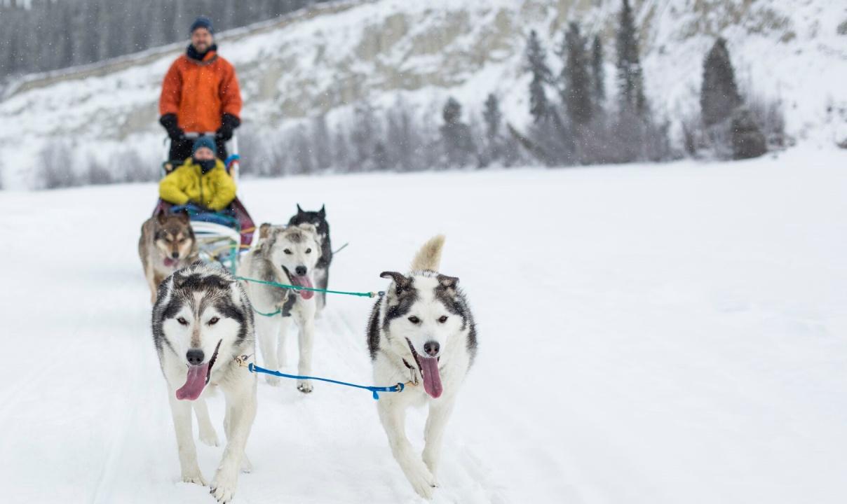 Two people on a dog sled being pulled by five dogs across a snowy expanse.