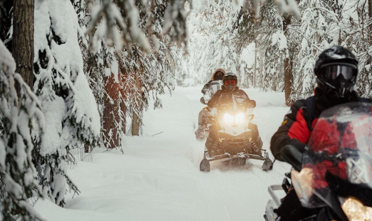 Three snowmobilers riding through snowy woods.