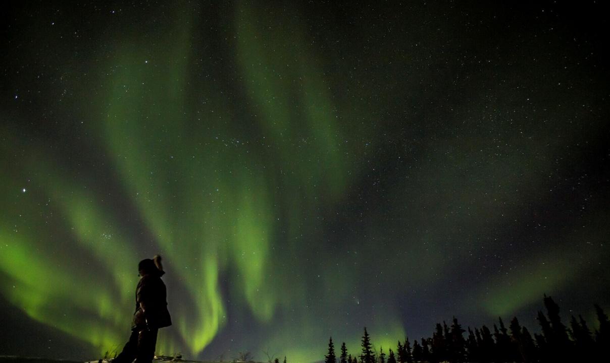 The aurora above a forest.