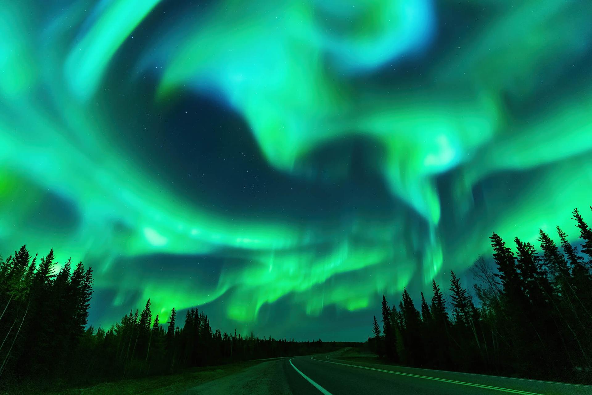 Green swirling Aurora Borealis in the night sky over the forrest