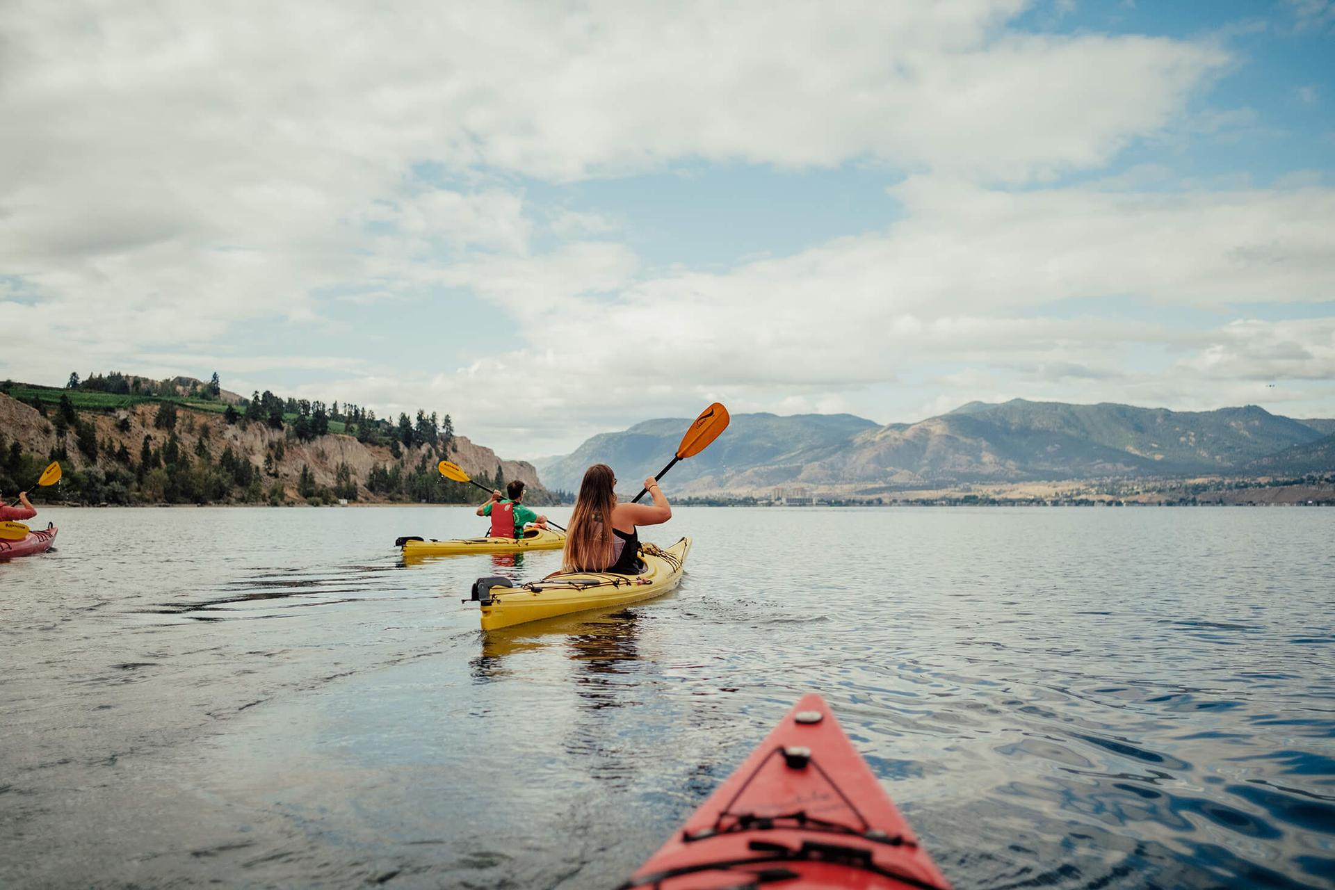 Two kayaks paddling in an expansive harbour