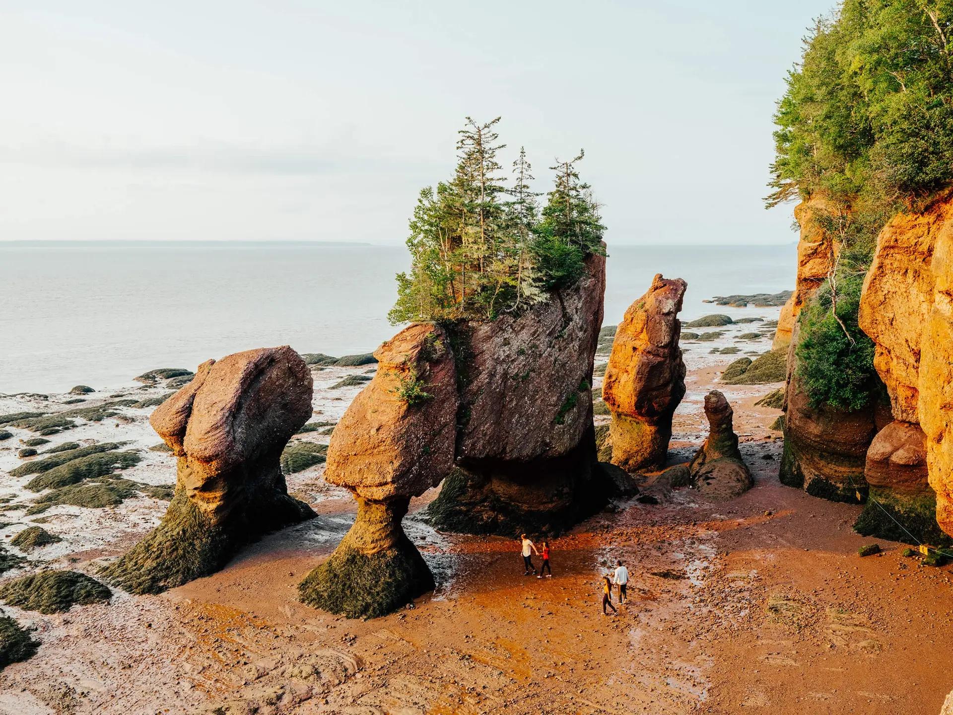 Hopewell Rocks in New Brunswick