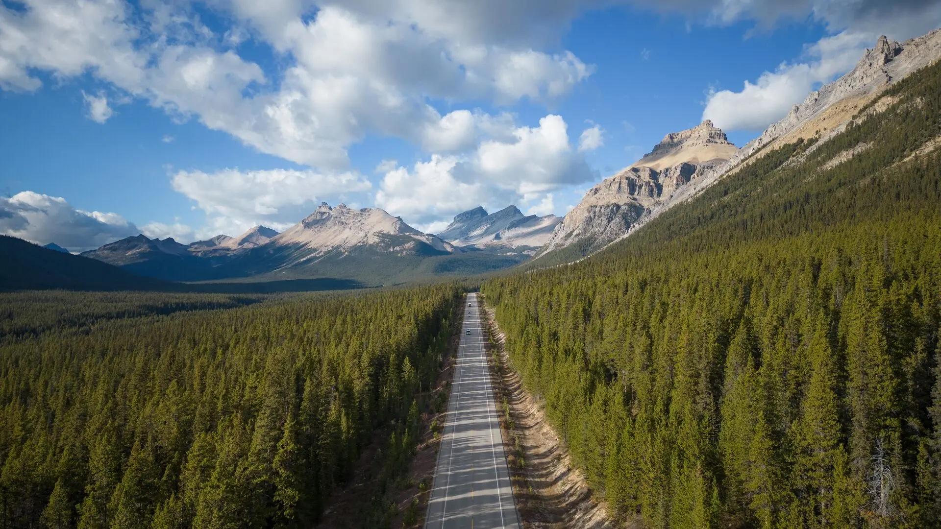 A highway running between two wooded areas at the base of a mountain