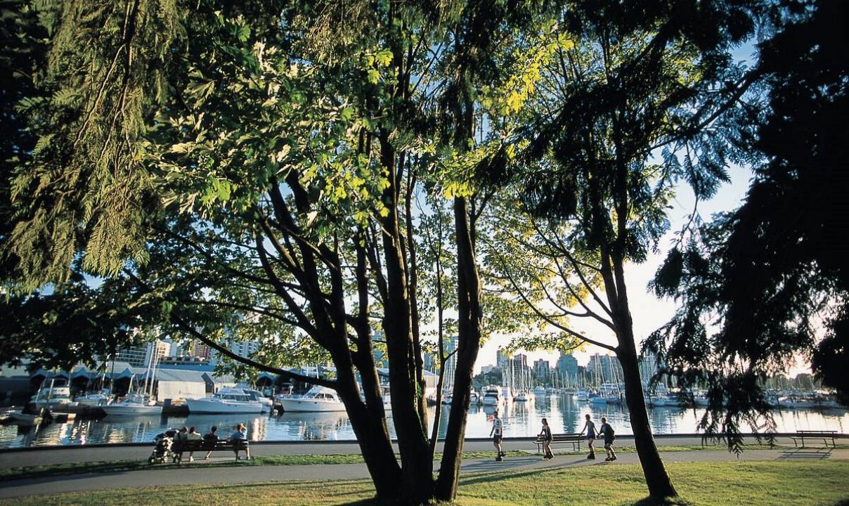 The Vancouver seawall with trees in the foreground and four people rollerblading on the path.