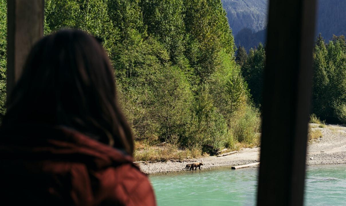 A person observing bears on a rocky shore.