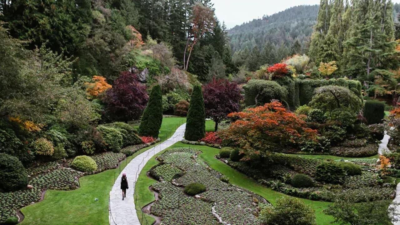 A person walking on a path through Butchart Gardens in Victoria, BC.