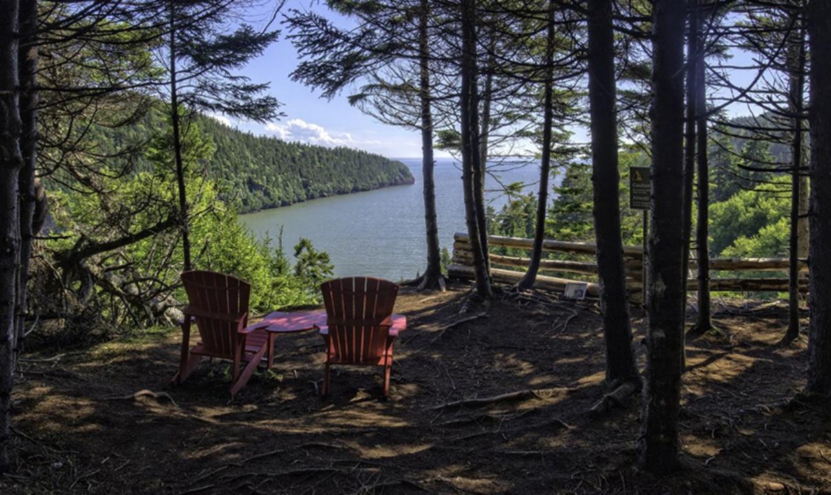 Two chairs in a forest overlooking Fundy Bay