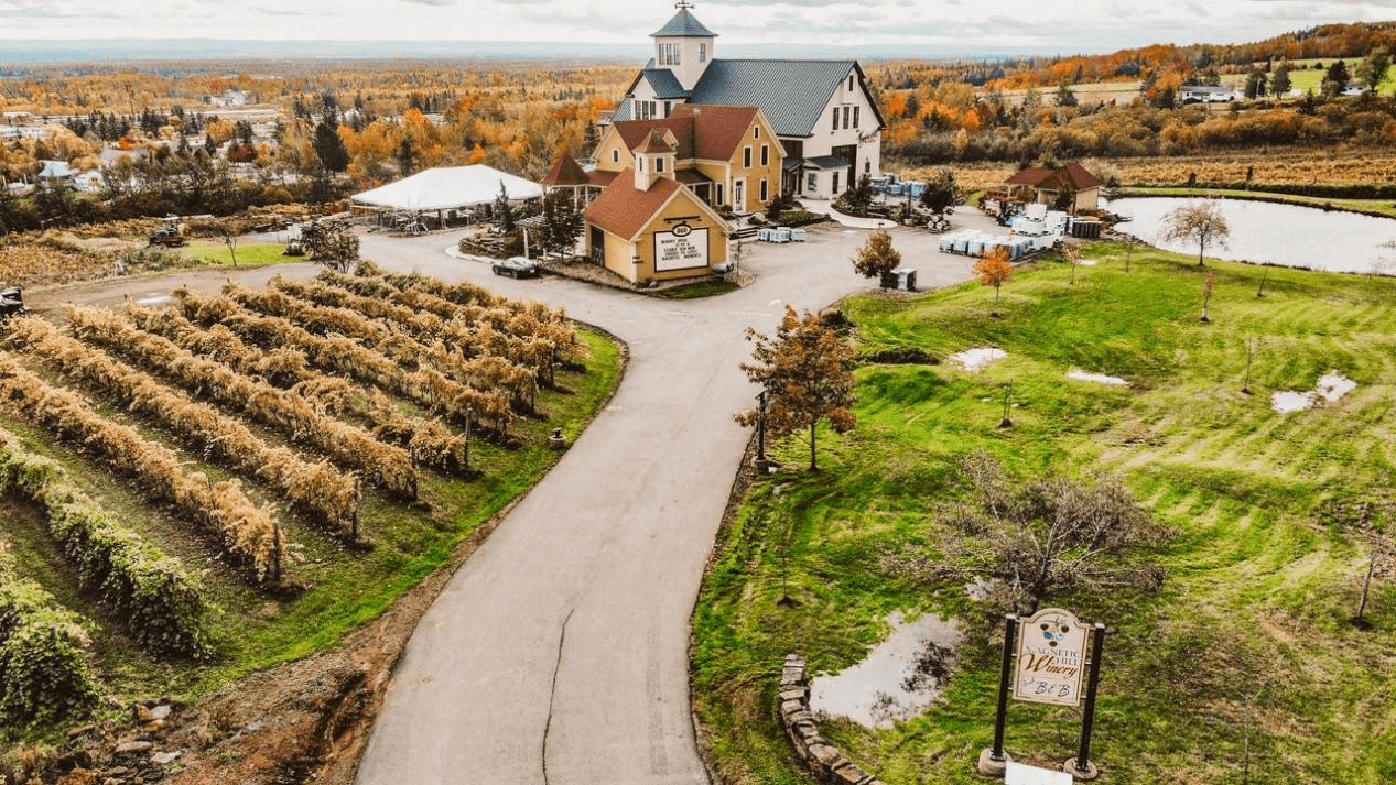 A winery in autumn