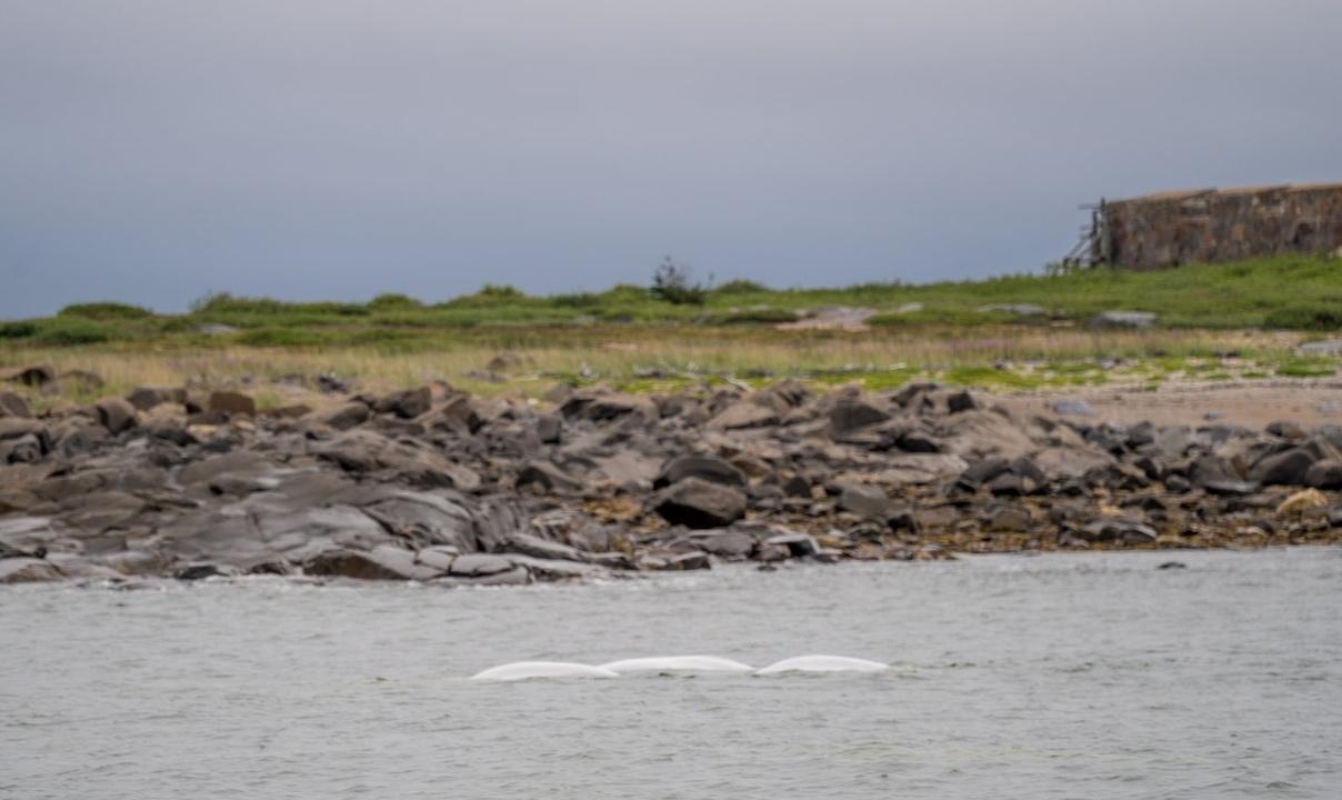 Calm waters near a rocky shoreline