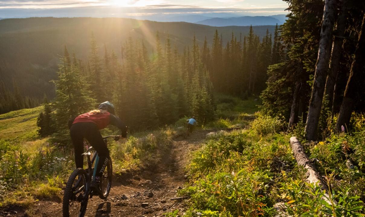 A person on a mountain bike at the top of a hill about to descend through a forest.