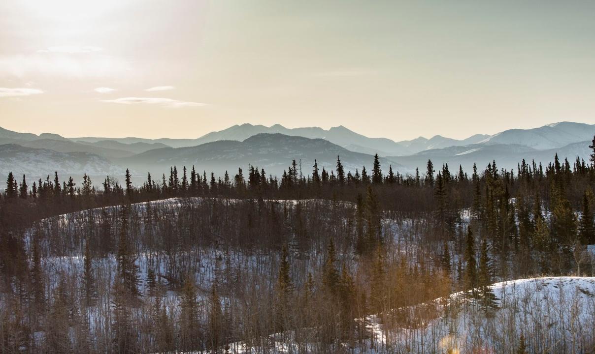Snowy tree-covered hills with mountain peaks in the background.