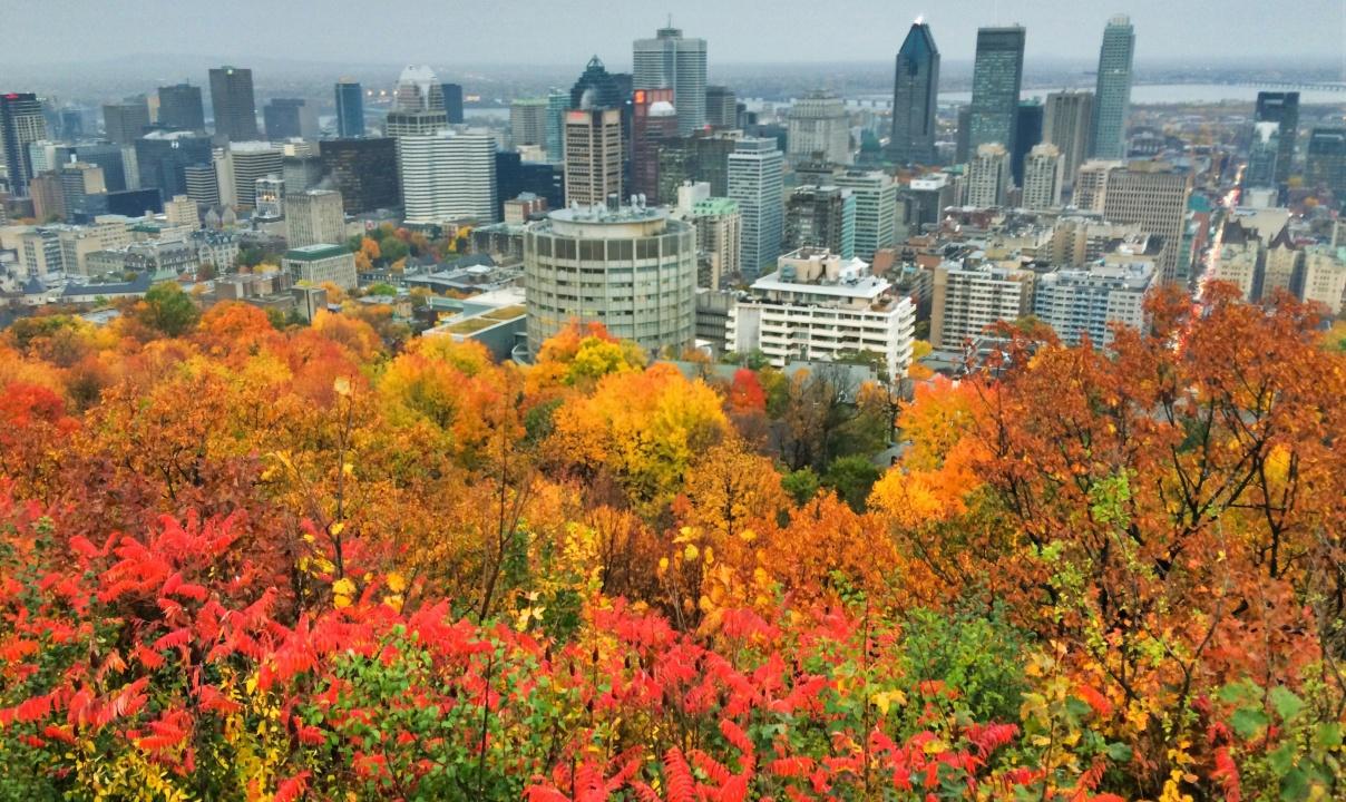 A view of downtown Montreal with autumnal trees in the foreground.