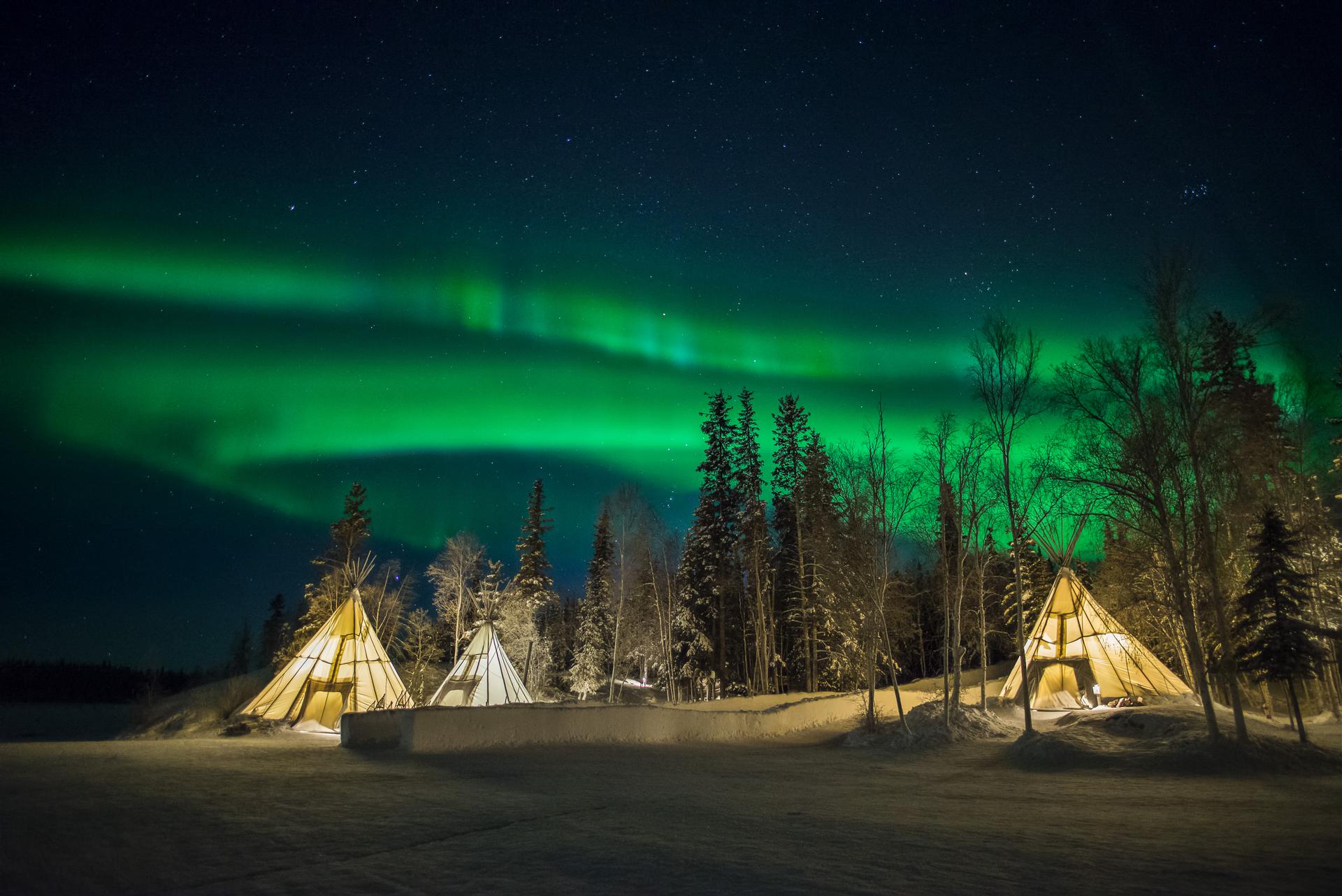 Green northern lights glowing above snowy trees and illuminated teepees at night