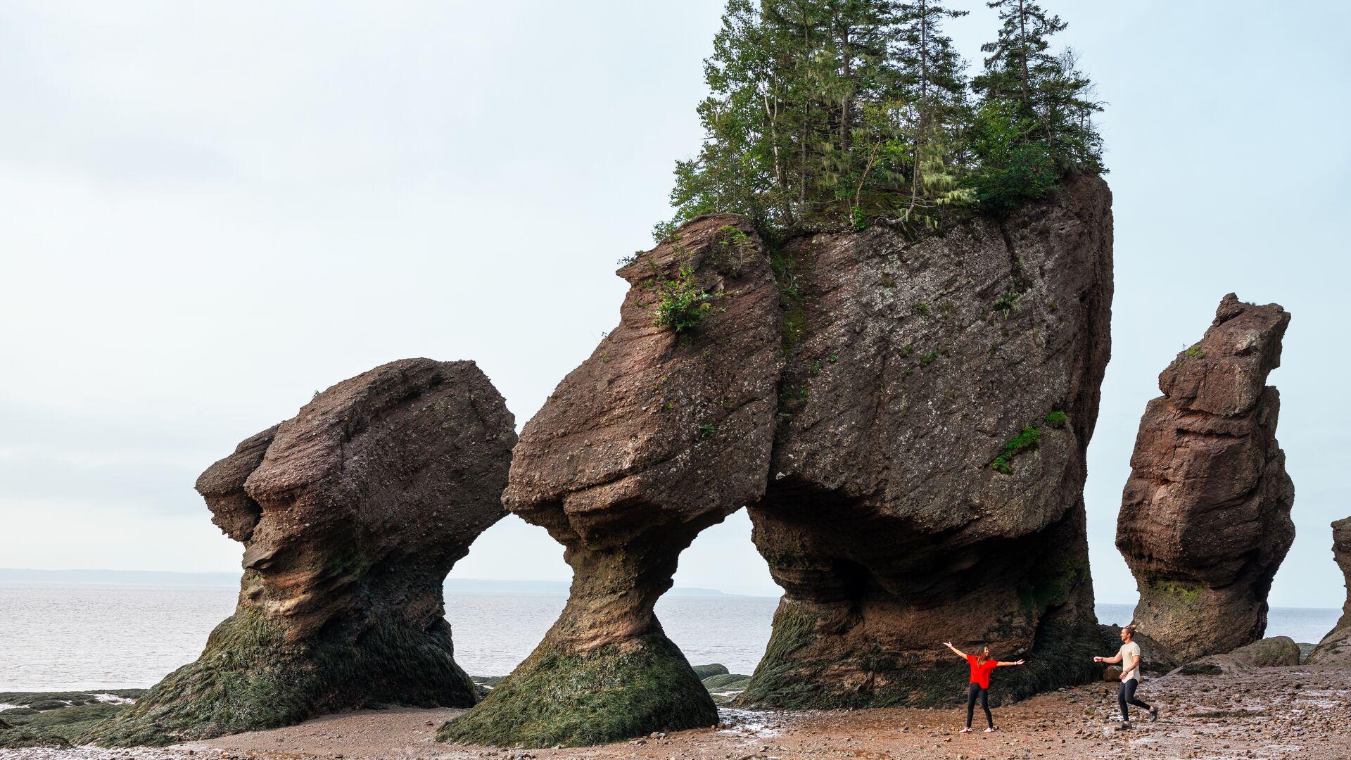 The Bay of Fundy
