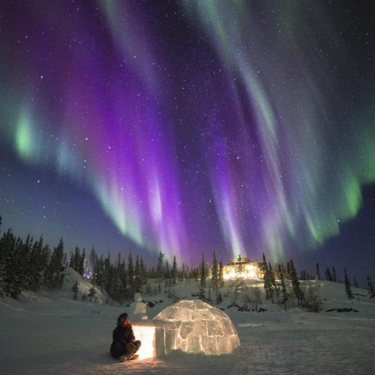 People building an igloo under the Northern Lights