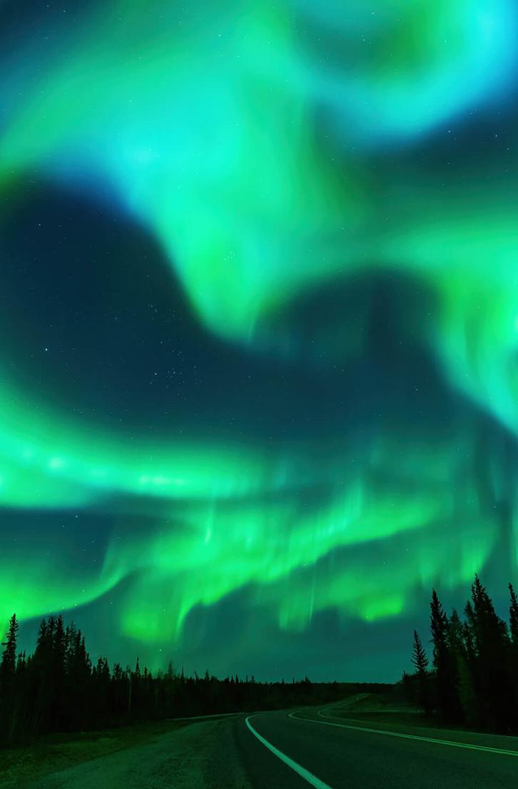 Green swirling Aurora Borealis in the night sky over the forrest