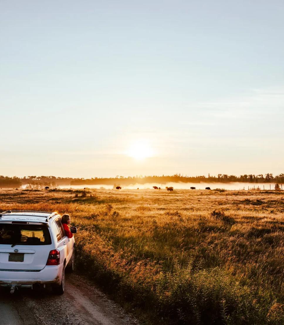 A car driving down a dusty trail in Riding Mountain National Park