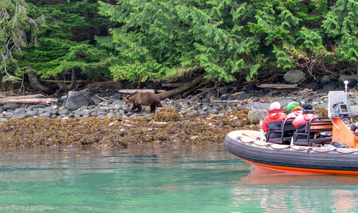 People in a boat observing a bear on the shore.