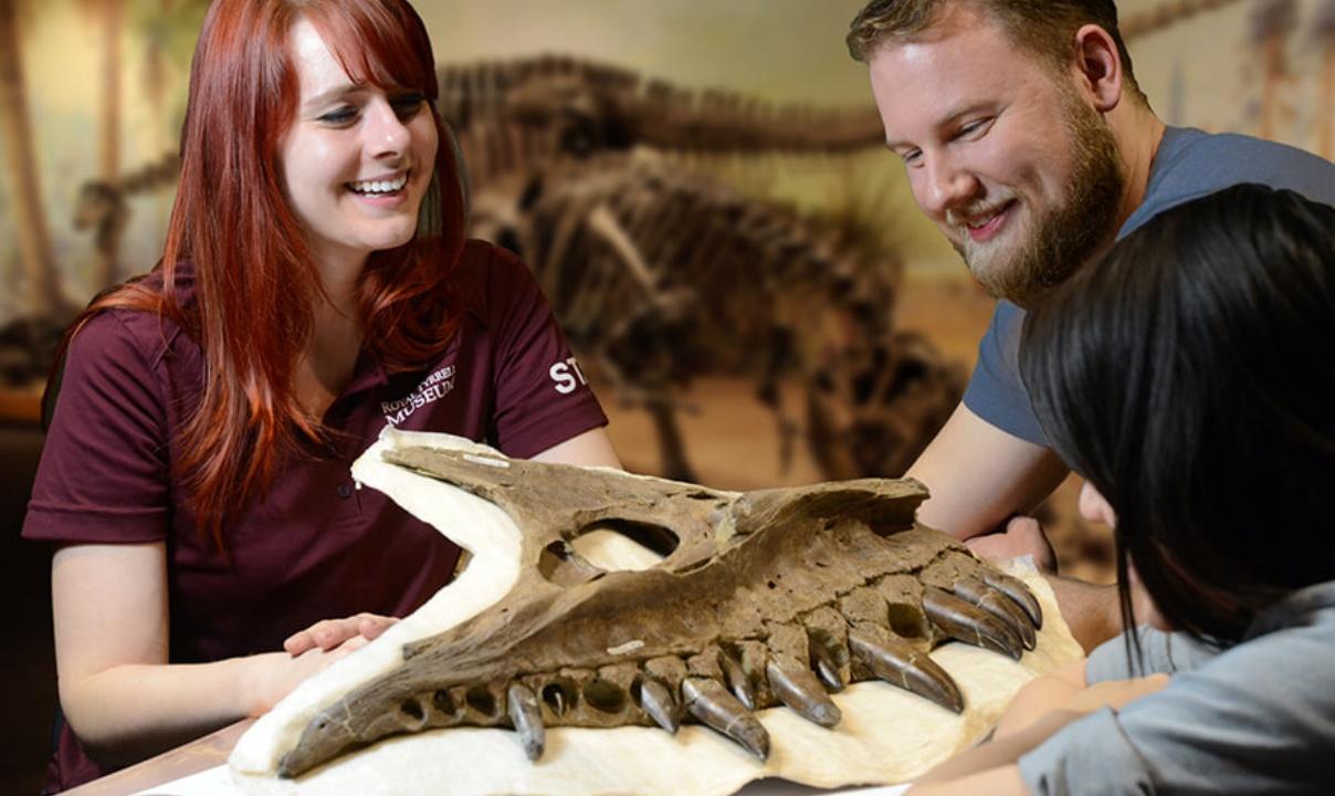 Smiling people looking at a dinosaur skull.