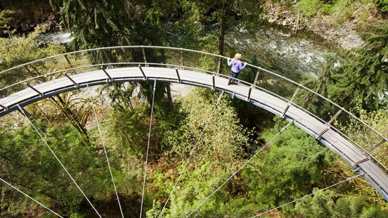 A person looking over the railing of the Cliffwalk at the Capilano Suspension Bridge Park.