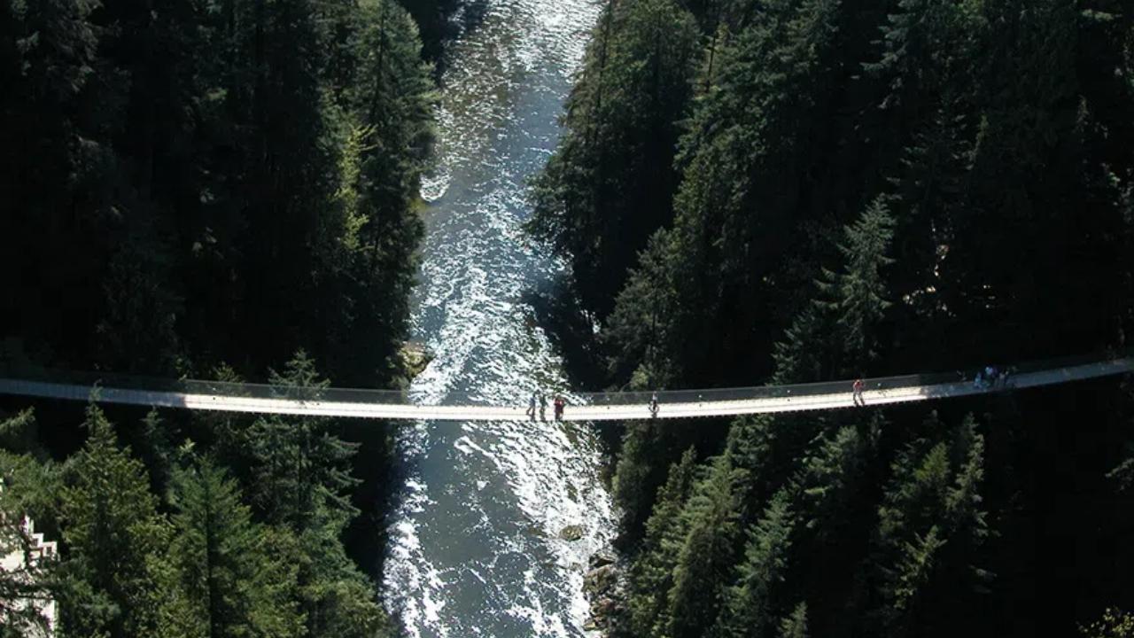 An aerial view of people walking across the Capilano Suspension Bridge.