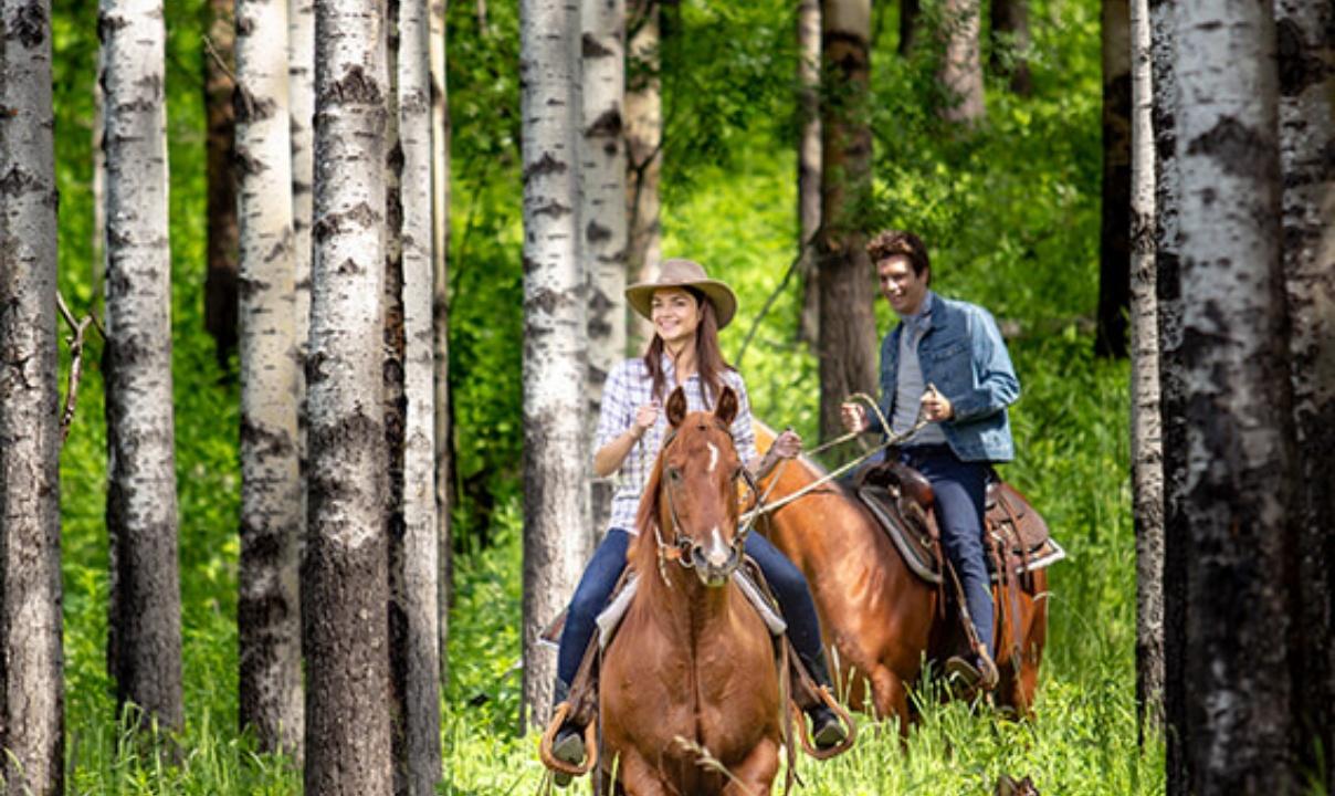 A man and a woman riding horses through the woods.