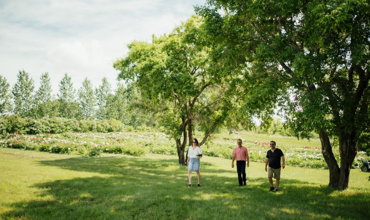 Three people walking across a grassy lawn under tall green deciduous trees on a sunny day.