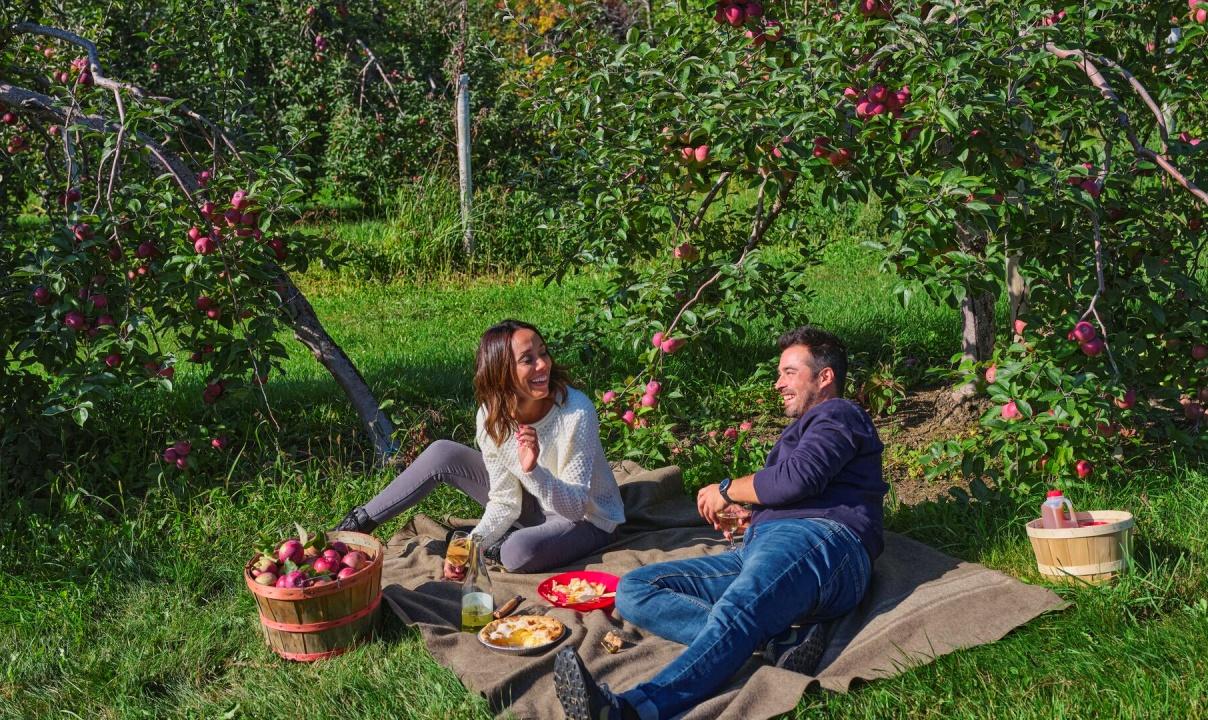 Two people having a picnic in an apple orchard.