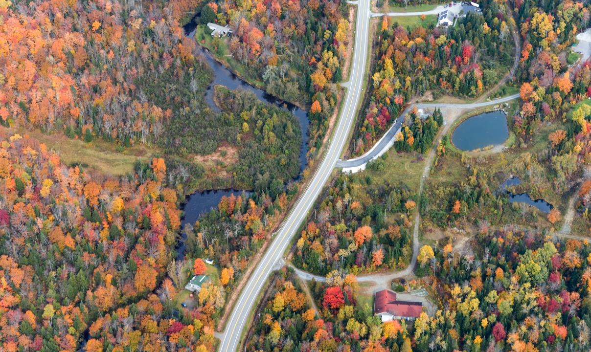 An aerial view of a road through a wooded area with autumn colours.