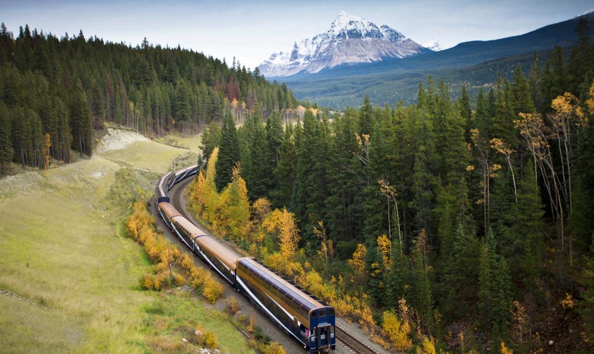 A passenger train on a track surrounded by forest with a large snow-capped mountain in the background.