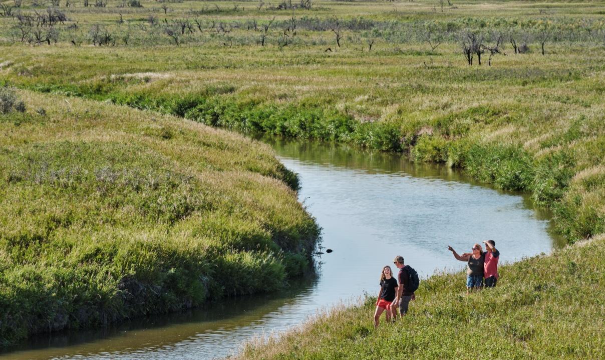 Four people walking through tall grass along a river with low mountains in the background.