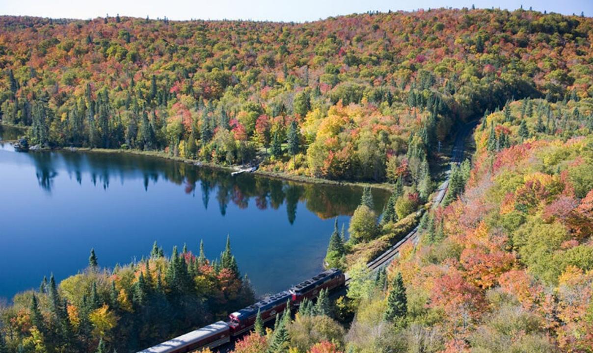 A train passing by a lake surrounded by autumnal trees.