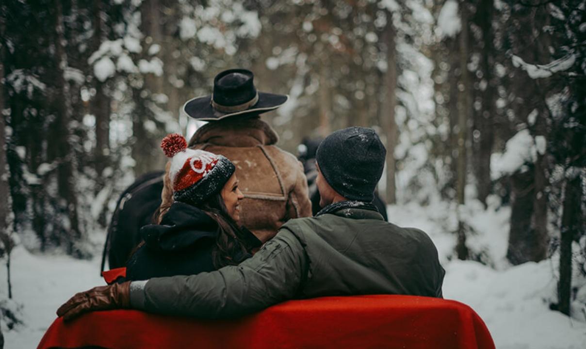 Two people riding in a horse-drawn sleigh through the snowy woods.
